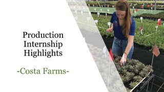 Production
Internship
Highlights
-Costa Farms-
 