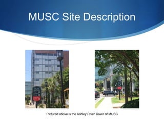 MUSC Site Description
Pictured above is the Ashley River Tower of MUSC
 