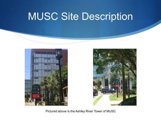 MUSC Site Description
Pictured above is the Ashley River Tower of MUSC
 