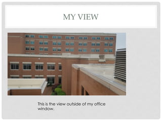 MY VIEW
This is the view outside of my office
window.
 