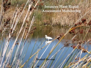 Invasive Plant Rapid 
    Assessment Monitoring




Randall Stevens
 