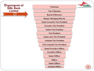 Organogram of
SIBL Bank
Limited
Chairman
Vice Chairman
Board of Directors
Deputy Managing Director
Senior Executive Vice President
Executive Vice President
Senior Vice President
Vice President
Senior Asst. Vice President
Assistant Vice President
First Assistant Vice President
Senior Executive Officer
Executive Officer
Senior Officer
Officer
Junior Officer
Assistant Officer 11
 