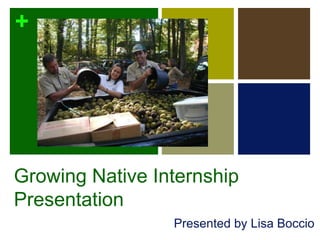 Growing Native Internship Presentation Presented by Lisa Boccio 