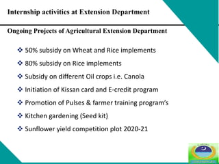 Ongoing Projects of Agricultural Extension Department
 50% subsidy on Wheat and Rice implements
 80% subsidy on Rice implements
 Subsidy on different Oil crops i.e. Canola
 Initiation of Kissan card and E-credit program
 Promotion of Pulses & farmer training program’s
 Kitchen gardening (Seed kit)
 Sunflower yield competition plot 2020-21
Internship activities at Extension Department
 