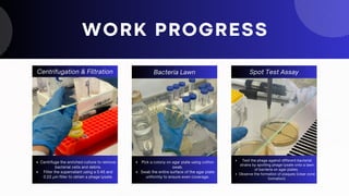 Centridfuge and Filter
Lorem ipsum dolor sit amet, consectetur
adipiscing elit. Duis vulputate nulla at ante
rhoncus, vel efficitur felis condimentum. Proin
odio odio.
Spot Test Assay
Lorem ipsum dolor sit amet, consectetur
adipiscing elit. Duis vulputate nulla at ante
rhoncus, vel efficitur felis condimentum. Proin
odio odio.
WORK PROGRESS
Bacteria Lawn
Lorem ipsum dolor sit amet, consectetur
adipiscing elit. Duis vulputate nulla at ante
rhoncus, vel efficitur felis condimentum.
Proin odio odio.
Centrifugation & Filtration
Centrifuge the enriched culture to remove
bacterial cells and debris.
Filter the supernatant using a 0.45 and
0.22 µm filter to obtain a phage lysate.
Spot Test Assay
Test the phage against different bacterial
strains by spotting phage lysate onto a lawn
of bacteria on agar plates.
Observe the formation of plaques (clear zone
formation).
Bacteria Lawn
Pick a colony on agar plate using cotton
swab.
Swab the entire surface of the agar plate
uniformly to ensure even coverage.
 