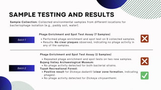 SAMPLE TESTING AND RESULTS
Sample Collection: Collected environmental samples from different locations for
bacteriophage isolation (e.g., paddy soil, water).
Batch 1
Phage Enrichment and Spot Test Assay (7 Samples)
Performed phage enrichment and spot test on 9 collected samples.
Results: No clear plaques observed, indicating no phage activity in
any of the samples.
Batch 2
Phage Enrichment and Spot Test Assay (2 Samples)
Repeated phage enrichment and spot tests on two new samples.
Bujang Valley Archaeological Museum:
No phage activity detected for both bacterial strains.
Tupah Recreational Forest:
Positive result for Dickeya dadantii (clear zone formation, indicating
phages).
No phage activity detected for Dickeya chrysanthemi.
 