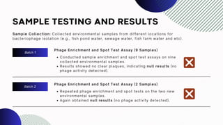 SAMPLE TESTING AND RESULTS
Sample Collection: Collected environmental samples from different locations for
bacteriophage isolation (e.g., fish pond water, sewage water, fish farm water and etc).
Batch 1
Batch 2
Phage Enrichment and Spot Test Assay (9 Samples)
Conducted sample enrichment and spot test assays on nine
collected environmental samples.
Results showed no clear plaques, indicating null results (no
phage activity detected).
Phage Enrichment and Spot Test Assay (2 Samples)
Repeated phage enrichment and spot tests on the two new
environmental samples.
Again obtained null results (no phage activity detected).
 