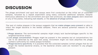 DISCUSSION
The phage enrichment and spot test assays were first conducted on the initial set of collected
samples, followed by a repeat experiment using newly collected additional samples. Despite
meticulous adherence to the enrichment and spot test protocols, no clear plaques were observed
on any of the plates, indicating null results, or the absence of phage activity.
The lack of visible plaques in the assays suggests that no viable phages were present or able to
infect the target bacteria in the tested samples. There are several potential reasons for this
outcome:
Phage absence: The environmental samples might simply lack bacteriophages specific to the
targeted bacterial strains.
1.
Low phage concentration: Phages might be present in the samples but at concentrations too
low to be detected by the spot test assay. Enrichment might not have amplified the phage
numbers sufficiently for visible plaque formation.
2.
Phage-bacteria specificity: It is possible that the collected samples contain phages that do not
target the tested bacterial strains, or the bacterial strains used are resistant to any phages
present.
3.
 