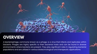 OVERVIEW
A bacteriophage, commonly known as a phage, is a virus that infects and replicates within
bacteria. Phages are highly specific to their bacterial hosts and can be found in diverse
environments where bacteria are present. They play significant roles in regulating bacterial
populations and are utilized in various biotechnological and therapeutic applications.
 