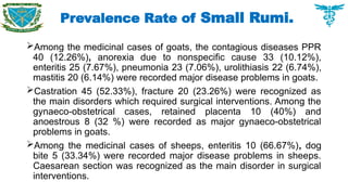 Among the medicinal cases of goats, the contagious diseases PPR
40 (12.26%), anorexia due to nonspecific cause 33 (10.12%),
enteritis 25 (7.67%), pneumonia 23 (7.06%), urolithiasis 22 (6.74%),
mastitis 20 (6.14%) were recorded major disease problems in goats.
Castration 45 (52.33%), fracture 20 (23.26%) were recognized as
the main disorders which required surgical interventions. Among the
gynaeco-obstetrical cases, retained placenta 10 (40%) and
anoestrous 8 (32 %) were recorded as major gynaeco-obstetrical
problems in goats.
Among the medicinal cases of sheeps, enteritis 10 (66.67%), dog
bite 5 (33.34%) were recorded major disease problems in sheeps.
Caesarean section was recognized as the main disorder in surgical
interventions.
Prevalence Rate of Small Rumi.
 