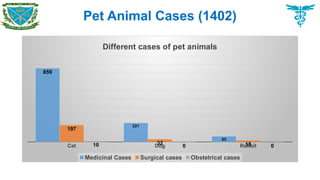 Pet Animal Cases (1402)
Cat Dog Rabbit
859
221
65
197
32 18
10 0 0
Different cases of pet animals
Medicinal Cases Surgical cases Obstetrical cases
 