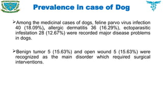 Among the medicinal cases of dogs, feline parvo virus infection
40 (18.09%), allergic dermatitis 36 (16.29%), ectoparasitic
infestation 28 (12.67%) were recorded major disease problems
in dogs.
Benign tumor 5 (15.63%) and open wound 5 (15.63%) were
recognized as the main disorder which required surgical
interventions.
Prevalence in case of Dog
 