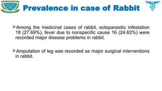 Prevalence in case of Rabbit
Among the medicinal cases of rabbit, ectoparasitic infestation
18 (27.69%), fever due to nonspecific cause 16 (24.62%) were
recorded major disease problems in rabbit.
Amputation of leg was recorded as major surgical interventions
in rabbit.
 