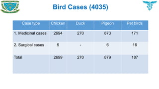 Bird Cases (4035)
Case type Chicken Duck Pigeon Pet birds
1. Medicinal cases 2694 270 873 171
2. Surgical cases 5 - 6 16
Total 2699 270 879 187
 