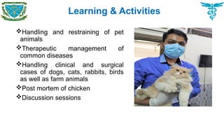 Learning & Activities
Handling and restraining of pet
animals
Therapeutic management of
common diseases
Handling clinical and surgical
cases of dogs, cats, rabbits, birds
as well as farm animals
Post mortem of chicken
Discussion sessions
 