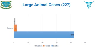 Large Animal Cases (227)
Case no.
0 50 100 150 200 250
212
10
5
Camel Horse Cattle
 