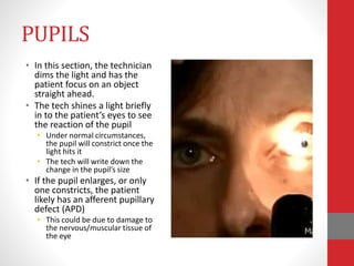 PUPILS
• In this section, the technician
dims the light and has the
patient focus on an object
straight ahead.
• The tech shines a light briefly
in to the patient’s eyes to see
the reaction of the pupil
• Under normal circumstances,
the pupil will constrict once the
light hits it
• The tech will write down the
change in the pupil’s size
• If the pupil enlarges, or only
one constricts, the patient
likely has an afferent pupillary
defect (APD)
• This could be due to damage to
the nervous/muscular tissue of
the eye
 