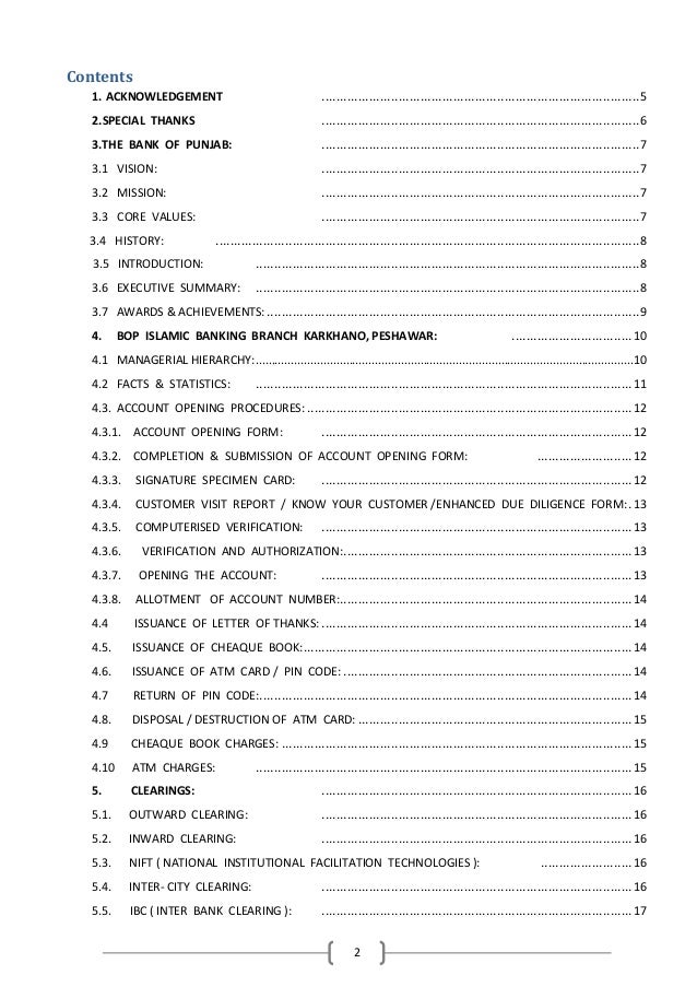 Audit internship report essays