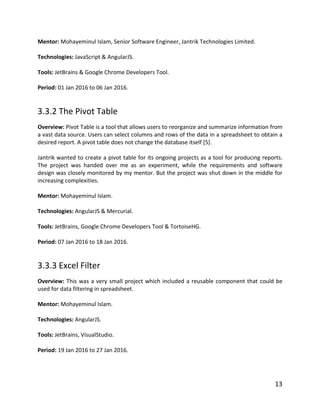 Final Internship Report | PDF