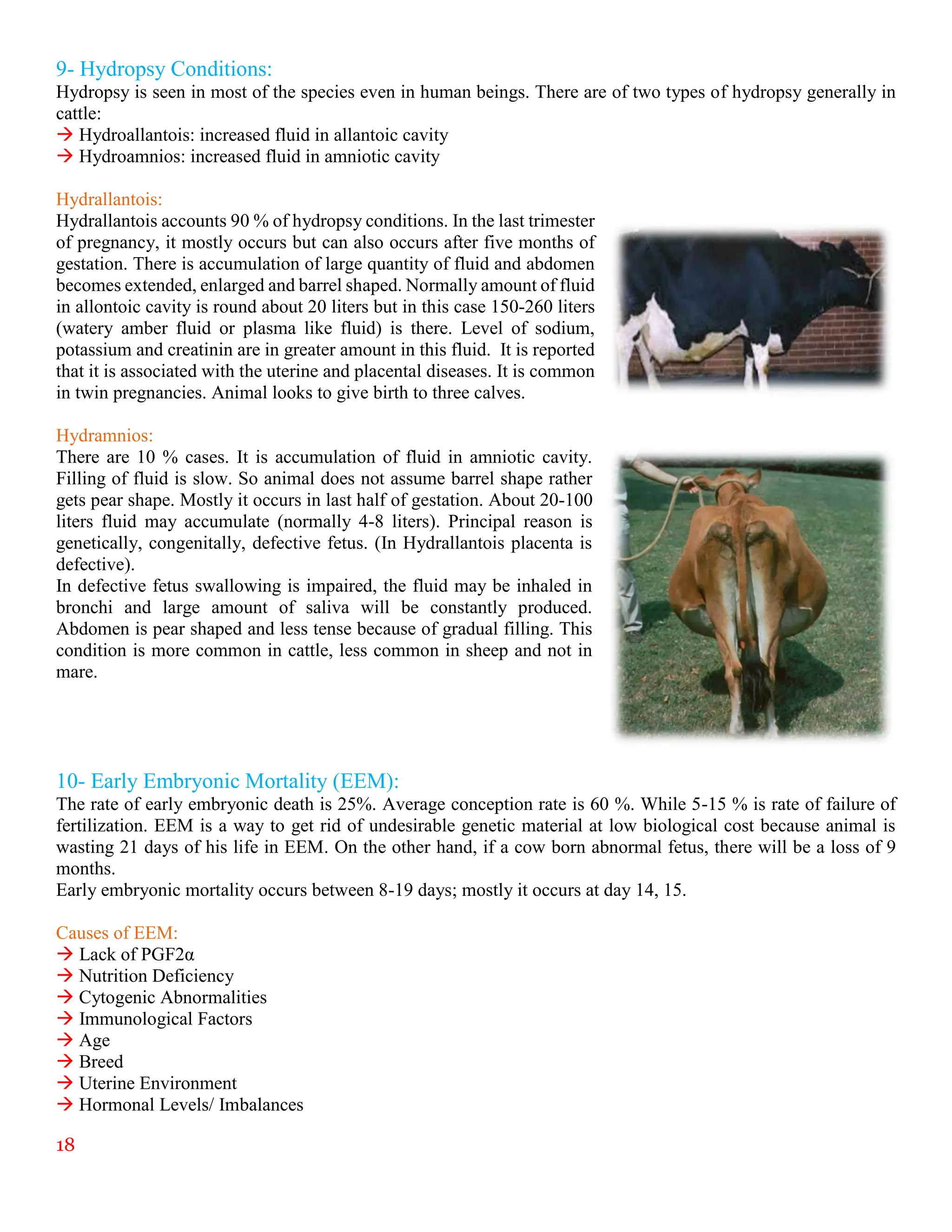 18
9- Hydropsy Conditions:
Hydropsy is seen in most of the species even in human beings. There are of two types of hydropsy generally in
cattle:
 Hydroallantois: increased fluid in allantoic cavity
 Hydroamnios: increased fluid in amniotic cavity
Hydrallantois:
Hydrallantois accounts 90 % of hydropsy conditions. In the last trimester
of pregnancy, it mostly occurs but can also occurs after five months of
gestation. There is accumulation of large quantity of fluid and abdomen
becomes extended, enlarged and barrel shaped. Normally amount of fluid
in allontoic cavity is round about 20 liters but in this case 150-260 liters
(watery amber fluid or plasma like fluid) is there. Level of sodium,
potassium and creatinin are in greater amount in this fluid. It is reported
that it is associated with the uterine and placental diseases. It is common
in twin pregnancies. Animal looks to give birth to three calves.
Hydramnios:
There are 10 % cases. It is accumulation of fluid in amniotic cavity.
Filling of fluid is slow. So animal does not assume barrel shape rather
gets pear shape. Mostly it occurs in last half of gestation. About 20-100
liters fluid may accumulate (normally 4-8 liters). Principal reason is
genetically, congenitally, defective fetus. (In Hydrallantois placenta is
defective).
In defective fetus swallowing is impaired, the fluid may be inhaled in
bronchi and large amount of saliva will be constantly produced.
Abdomen is pear shaped and less tense because of gradual filling. This
condition is more common in cattle, less common in sheep and not in
mare.
10- Early Embryonic Mortality (EEM):
The rate of early embryonic death is 25%. Average conception rate is 60 %. While 5-15 % is rate of failure of
fertilization. EEM is a way to get rid of undesirable genetic material at low biological cost because animal is
wasting 21 days of his life in EEM. On the other hand, if a cow born abnormal fetus, there will be a loss of 9
months.
Early embryonic mortality occurs between 8-19 days; mostly it occurs at day 14, 15.
Causes of EEM:
 Lack of PGF2α
 Nutrition Deficiency
 Cytogenic Abnormalities
 Immunological Factors
 Age
 Breed
 Uterine Environment
 Hormonal Levels/ Imbalances
 