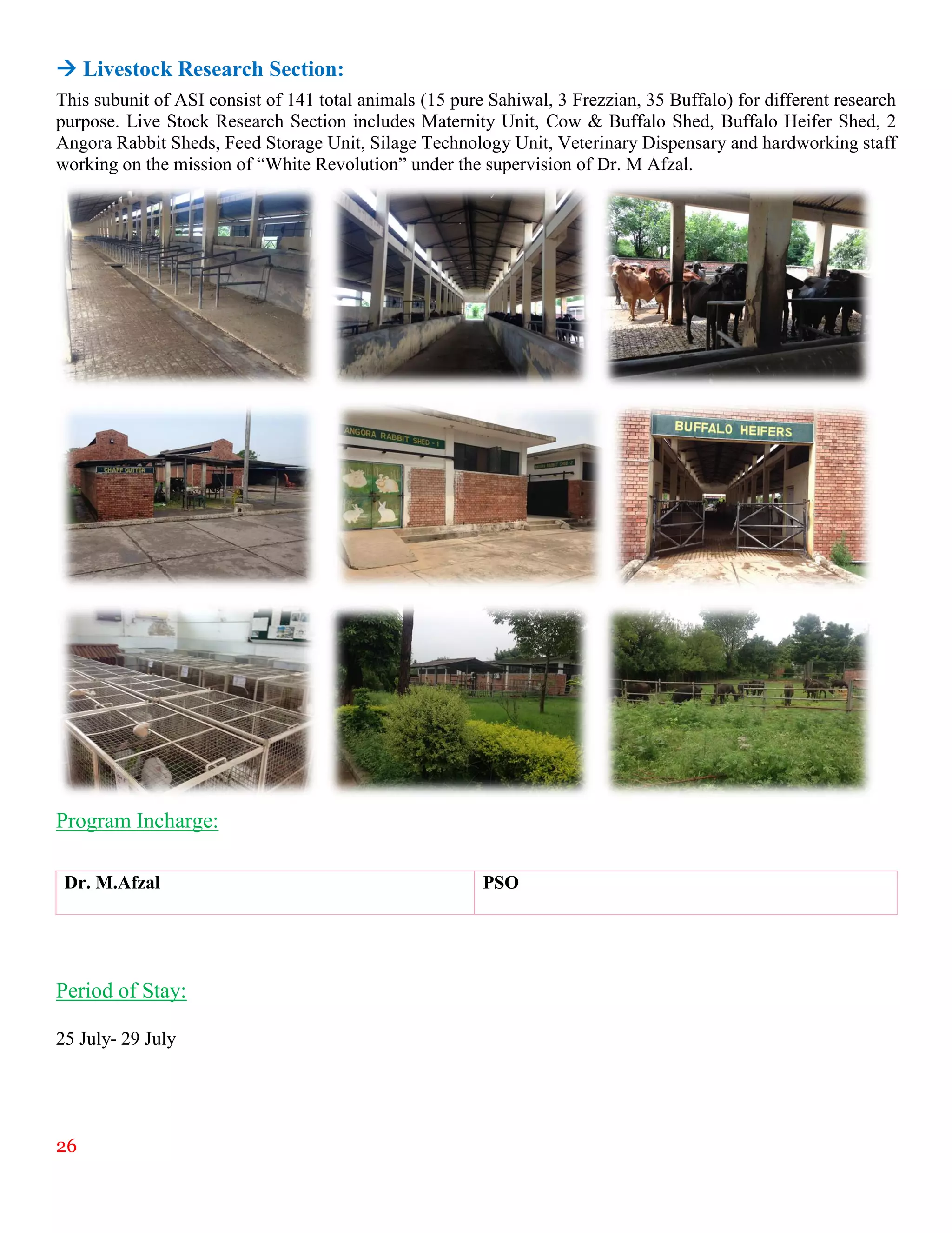 26
 Livestock Research Section:
This subunit of ASI consist of 141 total animals (15 pure Sahiwal, 3 Frezzian, 35 Buffalo) for different research
purpose. Live Stock Research Section includes Maternity Unit, Cow & Buffalo Shed, Buffalo Heifer Shed, 2
Angora Rabbit Sheds, Feed Storage Unit, Silage Technology Unit, Veterinary Dispensary and hardworking staff
working on the mission of “White Revolution” under the supervision of Dr. M Afzal.
Program Incharge:
Dr. M.Afzal PSO
Period of Stay:
25 July- 29 July
 