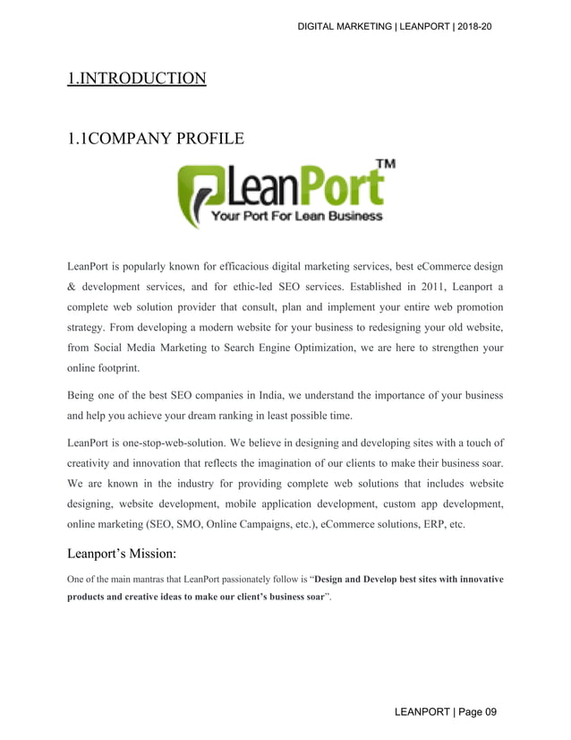 Digital Marketing Summer Internship report 2019