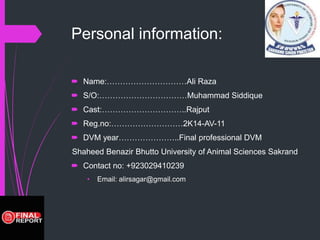 Internship report ali | PPTX