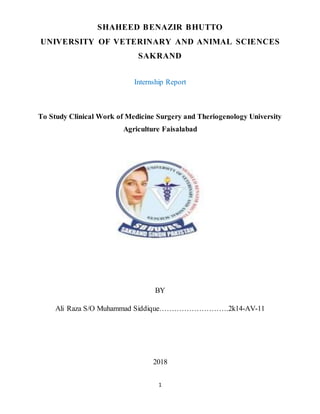 1
SHAHEED BENAZIR BHUTTO
UNIVERSITY OF VETERINARY AND ANIMAL SCIENCES
SAKRAND
Internship Report
To Study Clinical Work of Medicine Surgery and Theriogenology University
Agriculture Faisalabad
BY
Ali Raza S/O Muhammad Siddique……………………….2k14-AV-11
2018
 