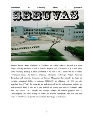 13
Introduction to University where I graduated:
Shaheed Benazir Bhutto Univeristiy of Veterinary and Animal Sciences, Sakrand is a public
degree awarding institution located at Sakrand Pakistan near Nawabshah. It is a first public
sector veterinary university in Sindh, established in the year of 2013. SBBUVAS has 6 faculties
(Veterinary-Sciences, Bio-Sciences, Fisheries, Information Technology, Animal Production
Technology and Livestock Economics and Business Management but currently first three are
providing educational facilities to students). SBBUVAS has affiliations with HEC and also
accredited from PVMC. The university has well developed labs for undergraduate students, has
well developed library. It also has its own livestock and poultry farms and well developed clinics
with 24hr service. The University also arranges seminars for different programs such as
Ultrasonography and short trainings in poultry and livestock departments. The basic and main
motto of SBBUVAS is to provide most authentic knowledge to the learners.
 