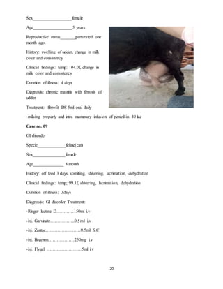 20
Sex__________________female
Age__________________5 years
Reproductive status_______parturated one
month ago.
History: swelling of udder, change in milk
color and consistency
Clinical findings: temp: 104.0f, change in
milk color and consistency
Duration of illness: 4 days
Diagnosis: chronic mastitis with fibrosis of
udder
Treatment: fibrofit DS 5ml oral daily
-milking properly and intra mammary infusion of penicillin 40 lac
Case no. 09
GI disorder
Specie_____________feline(cat)
Sex_______________female
Age______________ 8 month
History: off feed 3 days, vomiting, shivering, lacrimation, dehydration
Clinical findings: temp; 99.1f, shivering, lacrimation, dehydration
Duration of illness: 3days
Diagnosis: GI disorder Treatment:
-Ringer lactate D…………150ml i.v
-inj. Garvinate……………..0.5ml i.v
-inj. Zantac……………………0.5ml S.C
-inj. Breezon………………250mg i.v
-inj. Flygel ……………………5ml i.v
 