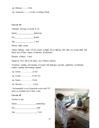 27
-inj. Dicloran---------15ml
-Inj. Transamin---------4 VAIL of 500mg (20ml)
Case no. 04
Antiseptic dressing of wound in cat
Specie__________________feline(cat)
Sex____________________female
Age____________________1 year
History: thigh wound
Clinical findings: temp: 103.4f, wound on thighs due to fighting with other cat, wound filled with
blood, loss of hairs, chance of infection development.
Duration of illness: 2 days
Diagnosis: fever due to the injury, loss of blood, alopecia
Treatment: washing and cleaning of wound with hydrogen peroxide, application of antiseptic
solution pyodine and bandage applied.
-inj. Tromit………………..0.3ml
-inj. Ivomec………………0.1ml S.C
-inj. Encure……………….0.2ml
-inj. Mecotec………………0.5ml
- recommended to use Kanacomb cream and CTC
spray on wounded area 3 times a day.
Case no. 05
Fracture in dog
Specie____________________canine(dog)
Sex_______________________male
Age_______________________1 year
 