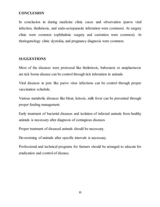 35
CONCLUSION
In conclusion in during medicine clinic cases and observation (parvo viral
infection, theileriosis, and endo-ectoparasite infestation were common). At surgery
clinic were common (ophthalmic surgery and castration were common). At
theriogenology clinic dystokia, and pregnancy diagnosis were common.
SUGGESTIONS
Most of the diseases were protozoal like theileriosis, babesiasis or anaplasmosis
are tick borne disease can be control through tick infestation in animals.
Viral diseases in pets like parvo virus infections can be control through proper
vaccination schedule.
Various metabolic diseases like bloat, ketosis, milk fever can be prevented through
proper feeding management.
Early treatment of bacterial diseases and isolation of infected animals from healthy
animals is necessary after diagnosis of contagious diseases
Proper treatment of diseased animals should be necessary.
De-worming of animals after specific intervals is necessary.
Professional and technical programs for farmers should be arranged to educate for
eradication and control of disease.
 