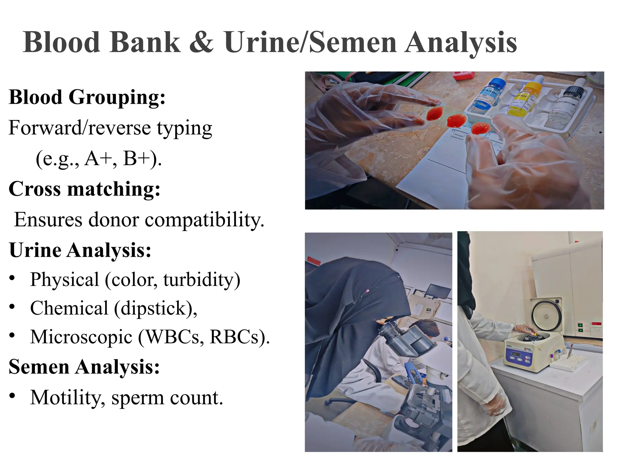 Blood Bank & Urine/Semen Analysis
Blood Grouping:
Forward/reverse typing
(e.g., A+, B+).
Cross matching:
Ensures donor compatibility.
Urine Analysis:
• Physical (color, turbidity)
• Chemical (dipstick),
• Microscopic (WBCs, RBCs).
Semen Analysis:
• Motility, sperm count.
 