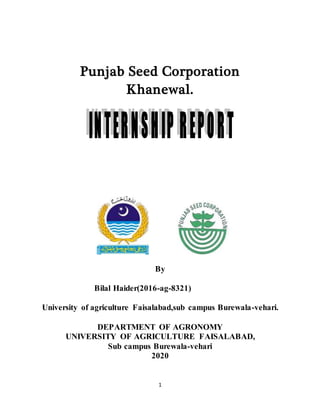 1
Punjab Seed Corporation
Khanewal.
By
Bilal Haider(2016-ag-8321)
University of agriculture Faisalabad,sub campus Burewala-vehari.
DEPARTMENT OF AGRONOMY
UNIVERSITY OF AGRICULTURE FAISALABAD,
Sub campus Burewala-vehari
2020
 