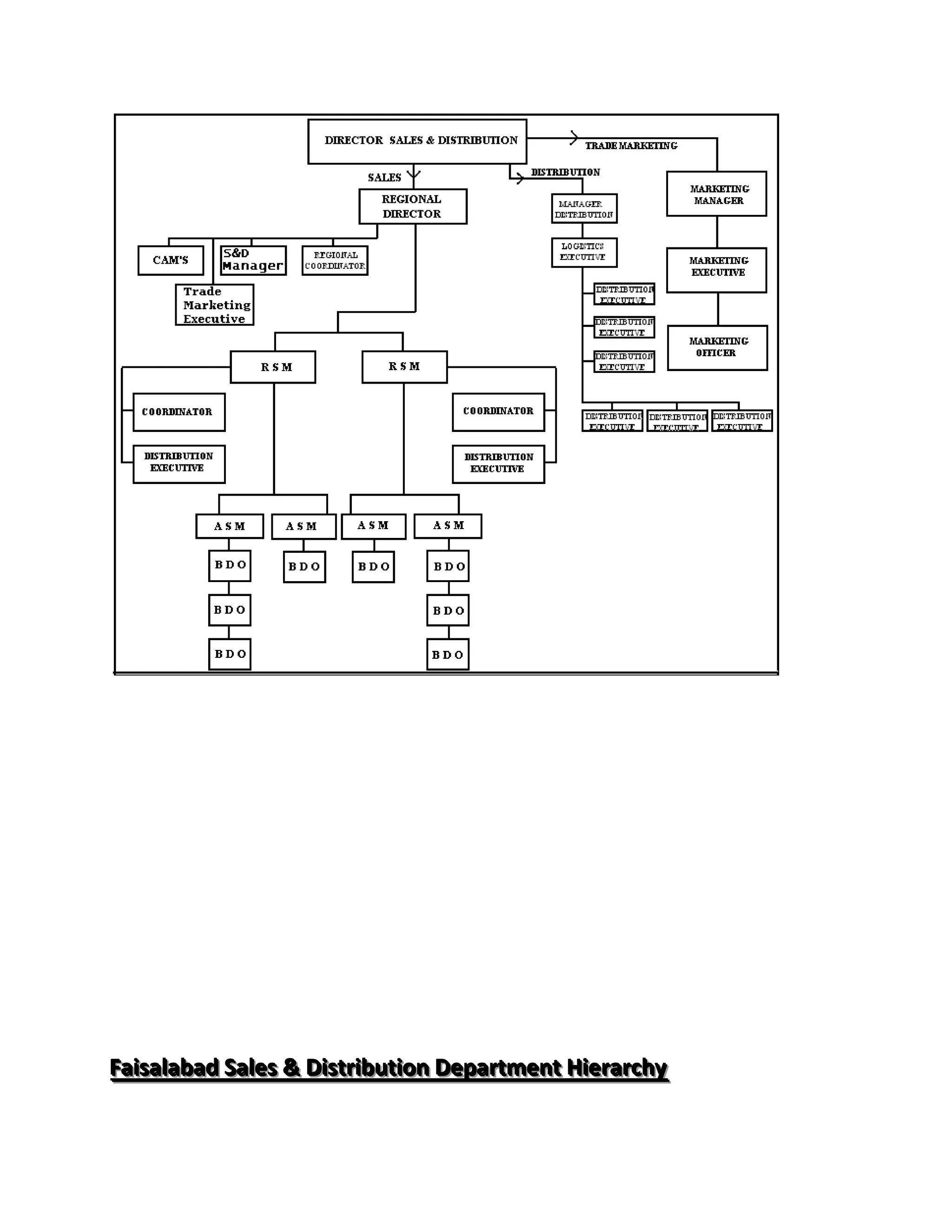 Faiisallabad Salles & Diistriibutiion Department Hiierarchy
Fa sa abad Sa es & D str but on Department H erarchy
 