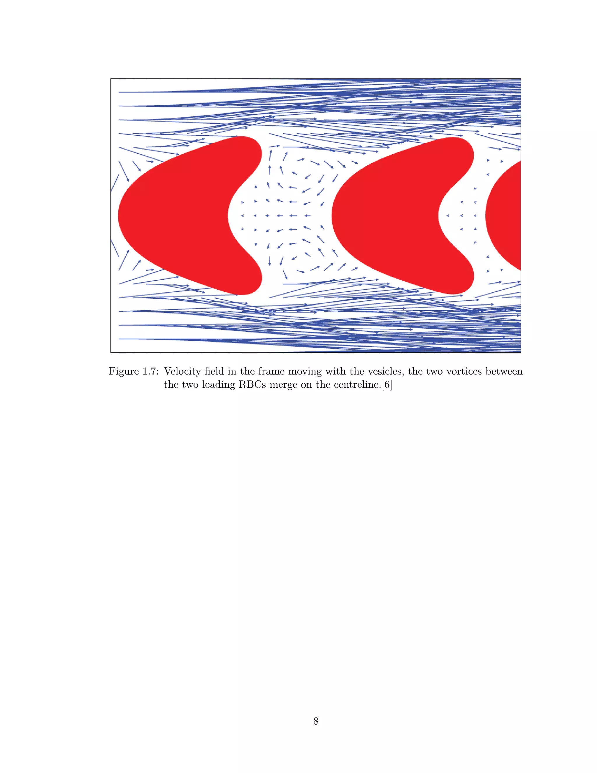 Figure 1.7: Velocity ﬁeld in the frame moving with the vesicles, the two vortices between
the two leading RBCs merge on the centreline.[6]
8
 