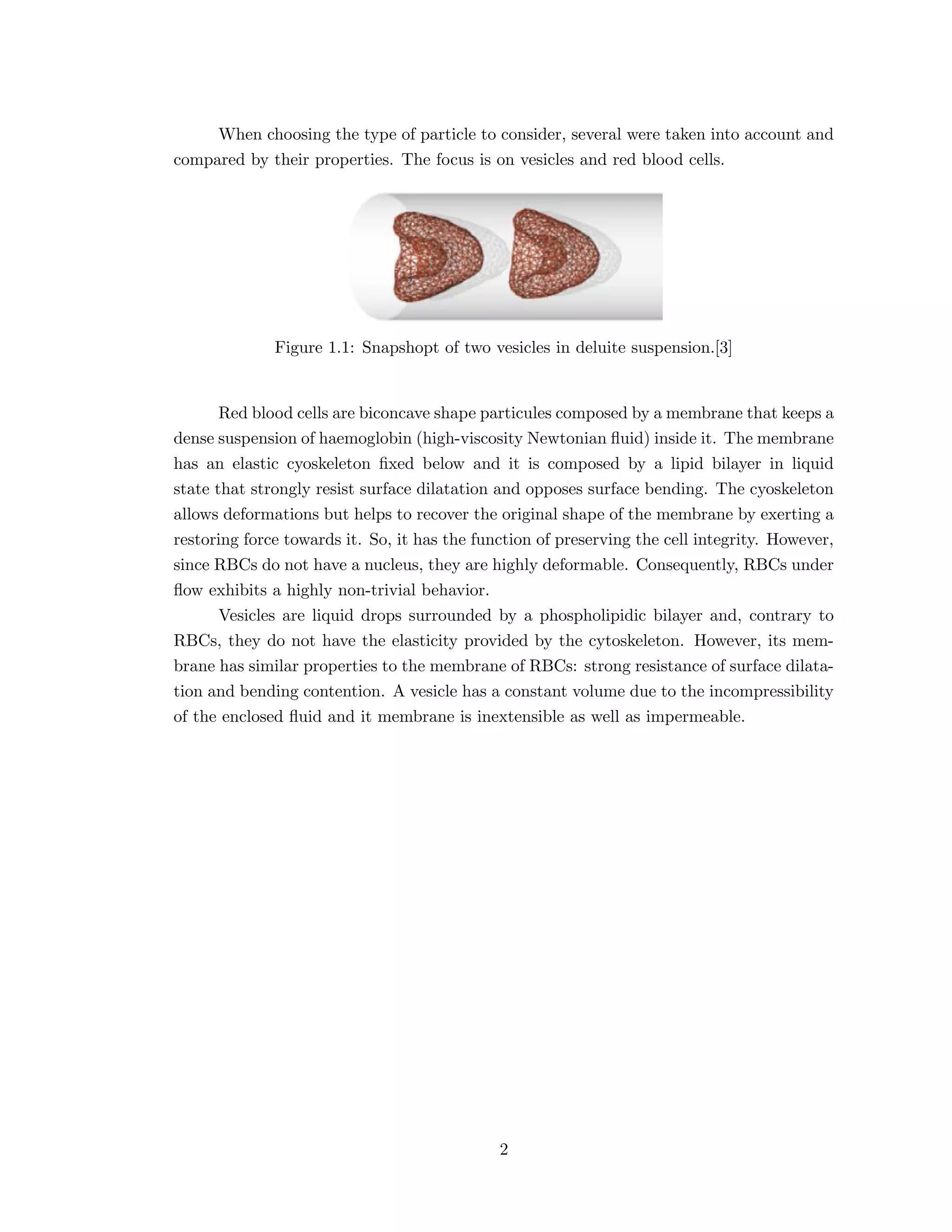 When choosing the type of particle to consider, several were taken into account and
compared by their properties. The focus is on vesicles and red blood cells.
Figure 1.1: Snapshopt of two vesicles in deluite suspension.[3]
Red blood cells are biconcave shape particules composed by a membrane that keeps a
dense suspension of haemoglobin (high-viscosity Newtonian ﬂuid) inside it. The membrane
has an elastic cyoskeleton ﬁxed below and it is composed by a lipid bilayer in liquid
state that strongly resist surface dilatation and opposes surface bending. The cyoskeleton
allows deformations but helps to recover the original shape of the membrane by exerting a
restoring force towards it. So, it has the function of preserving the cell integrity. However,
since RBCs do not have a nucleus, they are highly deformable. Consequently, RBCs under
ﬂow exhibits a highly non-trivial behavior.
Vesicles are liquid drops surrounded by a phospholipidic bilayer and, contrary to
RBCs, they do not have the elasticity provided by the cytoskeleton. However, its mem-
brane has similar properties to the membrane of RBCs: strong resistance of surface dilata-
tion and bending contention. A vesicle has a constant volume due to the incompressibility
of the enclosed ﬂuid and it membrane is inextensible as well as impermeable.
2
 