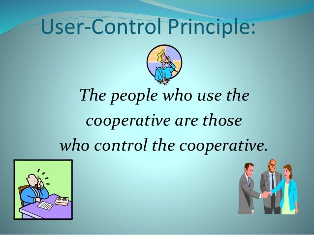 Setting up a cooperative business plan picture