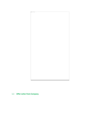 1.1 Offer Letter from Company
 