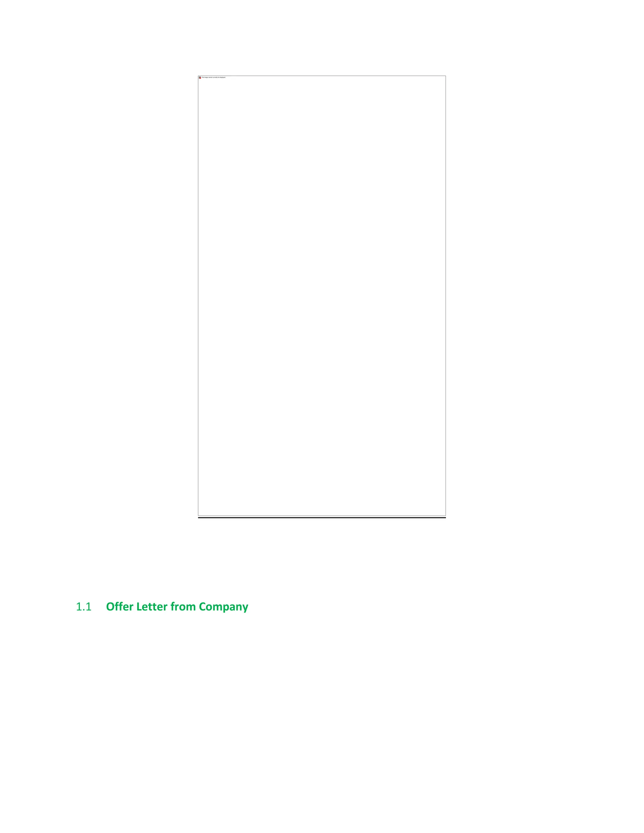 1.1 Offer Letter from Company
 