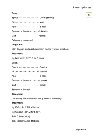 Internship Report

Case:
                                                                               14
Specie - - - - - - - - - - - - - - - - Ovine (Sheep)

Sex - - - - - - - - - - - - - - - - - - Male

Age - - - - - - - - - - - - - - - - - - 3 Year

Duration of illness- - - - - - - - 3 Weeks

Gait - - - - - - - - - - - - - - - - - Normal

Behavior is depressed.

Diagnosis:

Skin disease, and patches on skin mange (Fungal infection)

Treatment:

Inj: Ivermectin 2cc/S.C for 5 times.

Case:

Specie - - - - - - - - - - - - - - - - Caprine

Sex - - - - - - - - - - - - - - - - - - Female

Age - - - - - - - - - - - - - - - - - - 2 Year

Duration of illness- - - - - - - - 4 weeks

Gait - - - - - - - - - - - - - - - - - Normal

Behavior is Normal.

Diagnosis:

Soil eating, Hormones deficiency, Worms, and cough

Treatment:

Inj: Enflox 4cc/I.M for 5 days

Inj: Glucovit 4cc/I.M for 5 days

Tab: Zoben (bolus)

Tab: (::) Hormones 4 tablets



                                                               Page 14 of 55
 