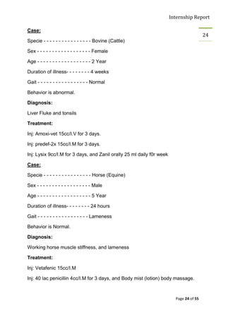 Internship Report

Case:
                                                                                         24
Specie - - - - - - - - - - - - - - - - Bovine (Cattle)

Sex - - - - - - - - - - - - - - - - - - Female

Age - - - - - - - - - - - - - - - - - - 2 Year

Duration of illness- - - - - - - - 4 weeks

Gait - - - - - - - - - - - - - - - - - Normal

Behavior is abnormal.

Diagnosis:

Liver Fluke and tonsils

Treatment:

Inj: Amoxi-vet 15cc/I.V for 3 days.

Inj: predef-2x 15cc/I.M for 3 days.

Inj: Lysix 9cc/I.M for 3 days, and Zanil orally 25 ml daily f0r week

Case:

Specie - - - - - - - - - - - - - - - - Horse (Equine)

Sex - - - - - - - - - - - - - - - - - - Male

Age - - - - - - - - - - - - - - - - - - 5 Year

Duration of illness- - - - - - - - 24 hours

Gait - - - - - - - - - - - - - - - - - Lameness

Behavior is Normal.

Diagnosis:

Working horse muscle stiffness, and lameness

Treatment:

Inj: Vetafenic 15cc/I.M

Inj: 40 lac penicillin 4cc/I.M for 3 days, and Body mist (lotion) body massage.



                                                                         Page 24 of 55
 