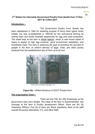 Internship Report


                                                                                   26
2nd Station for Internship Government Poultry Farm Quetta from 17-Oct-
                           2011 t0 13-Nov-2011

Introduction: -

                                The Government Poultry Farm Quetta has
been established in 1944 for breeding purpose of fancy birds (game birds)
initially, but was re-established in 1955-56 for the commercial farming by
rearing layer and broiler breeds€ respectively for egg and meet production.
The breed kept at this farm is White leghorn, which is well known breed of
layers in aspect of high egg producer, good environment adaptation, and
broodiness traits. The farm is achieving the goal of providing the services to
people in the form of uniform delivery of eggs, meat, and other poultry
products from the establishment day of Farm up to till now.




            Figure No: - 4 Main Entrance of GOVT Poultry Farm

The organization Chart: -

                                There are the Fifty Six (56) Employees at the
government dairy farm Quetta. The head of the farm is Superintendent, sub
Incharge at the farm is Poultry development Officer, there are Six (6)
Veterinary Officers, Five (5) of them are Stock Assistants, Rest of the staff
include the poultry attendants, V.C, and office Staff.




                                                                   Page 26 of 55
 