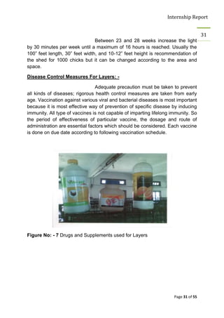 Internship Report


                                                                                     31
                                Between 23 and 28 weeks increase the light
by 30 minutes per week until a maximum of 16 hours is reached. Usually the
100” feet length, 30” feet width, and 10-12” feet height is recommendation of
the shed for 1000 chicks but it can be changed according to the area and
space.

Disease Control Measures For Layers: -

                                Adequate precaution must be taken to prevent
all kinds of diseases; rigorous health control measures are taken from early
age. Vaccination against various viral and bacterial diseases is most important
because it is most effective way of prevention of specific disease by inducing
immunity. All type of vaccines is not capable of imparting lifelong immunity. So
the period of effectiveness of particular vaccine, the dosage and route of
administration are essential factors which should be considered. Each vaccine
is done on due date according to following vaccination schedule.




Figure No: - 7 Drugs and Supplements used for Layers




                                                                     Page 31 of 55
 