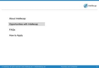 About Intellecap Opportunities with Intellecap FAQs How to Apply 