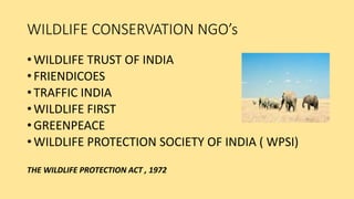 WILDLIFE CONSERVATION NGO’s
• WILDLIFE TRUST OF INDIA
• FRIENDICOES
• TRAFFIC INDIA
• WILDLIFE FIRST
• GREENPEACE
• WILDLIFE PROTECTION SOCIETY OF INDIA ( WPSI)
THE WILDLIFE PROTECTION ACT , 1972
 