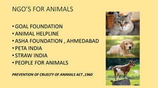 NGO’S FOR ANIMALS
• GOAL FOUNDATION
• ANIMAL HELPLINE
• ASHA FOUNDATION , AHMEDABAD
• PETA INDIA
• STRAW INDIA
• PEOPLE FOR ANIMALS
PREVENTION OF CRUELTY OF ANIMALS ACT ,1960
 