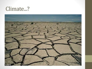 Climate...?
 