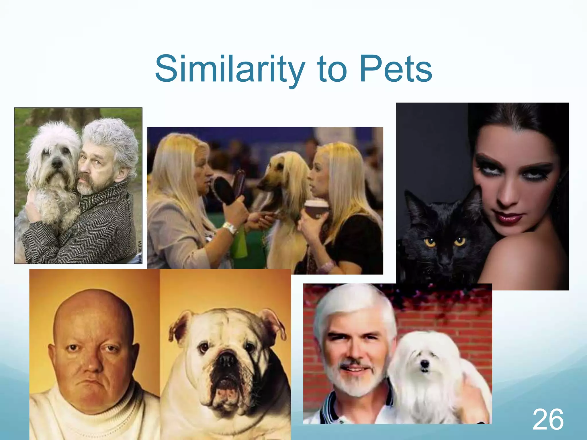 Similarity to Pets26
