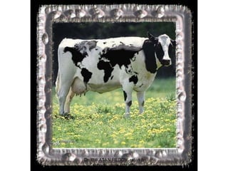 Dr. B RATAN REDDY ratan b
school www.srgi.info
 